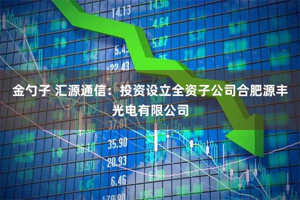 金勺子 汇源通信：投资设立全资子公司合肥源丰光电有限公司