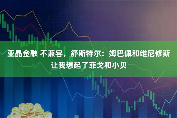 亚晶金融 不兼容，舒斯特尔：姆巴佩和维尼修斯让我想起了菲戈和小贝