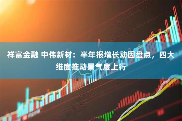 祥富金融 中伟新材：半年报增长动因盘点，四大维度推动景气度上行